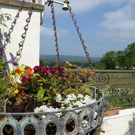 Dean Valley Panorama Bed & Breakfast Лидни Екстериор снимка