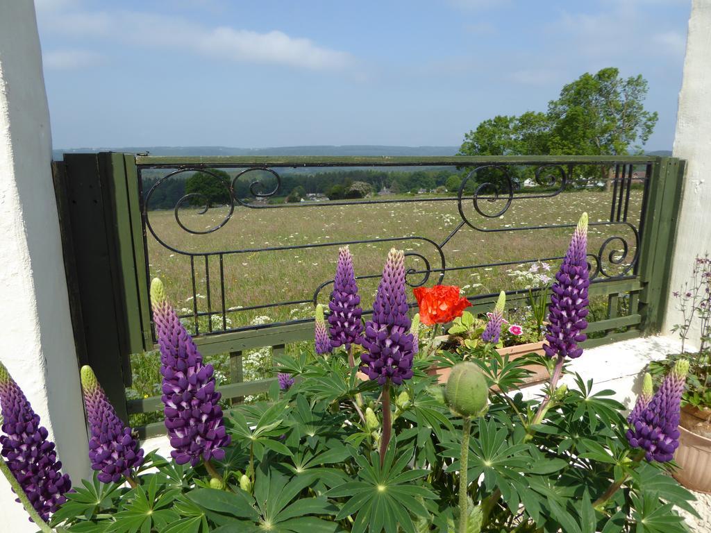 Dean Valley Panorama Bed & Breakfast Лидни Екстериор снимка